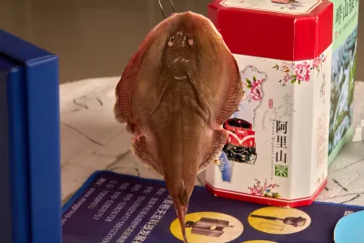 新鲜鳐鱼展示