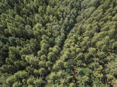Coniferous Forest Ecological Zone