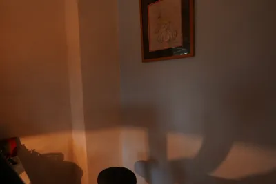 Casual Living Room