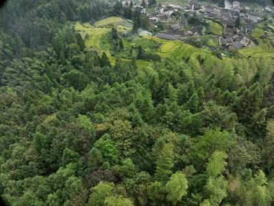 山村梯田与森林
