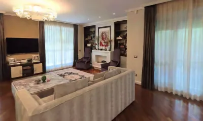 Modern Well-decorated House